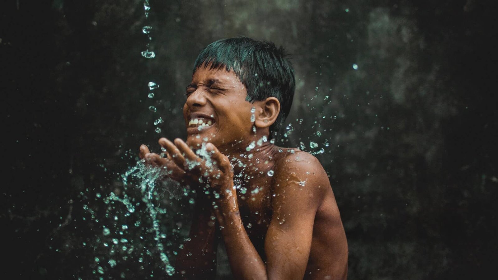 Non Profit Wordpress Theme - Donation