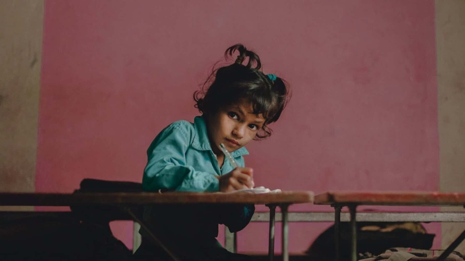 Non Profit WordPress Theme - Donation